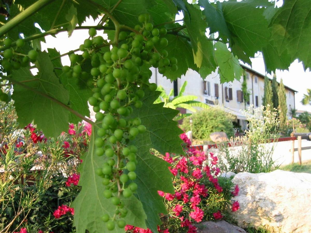 Agriturismo Le Caldane Villa Colà Exterior foto